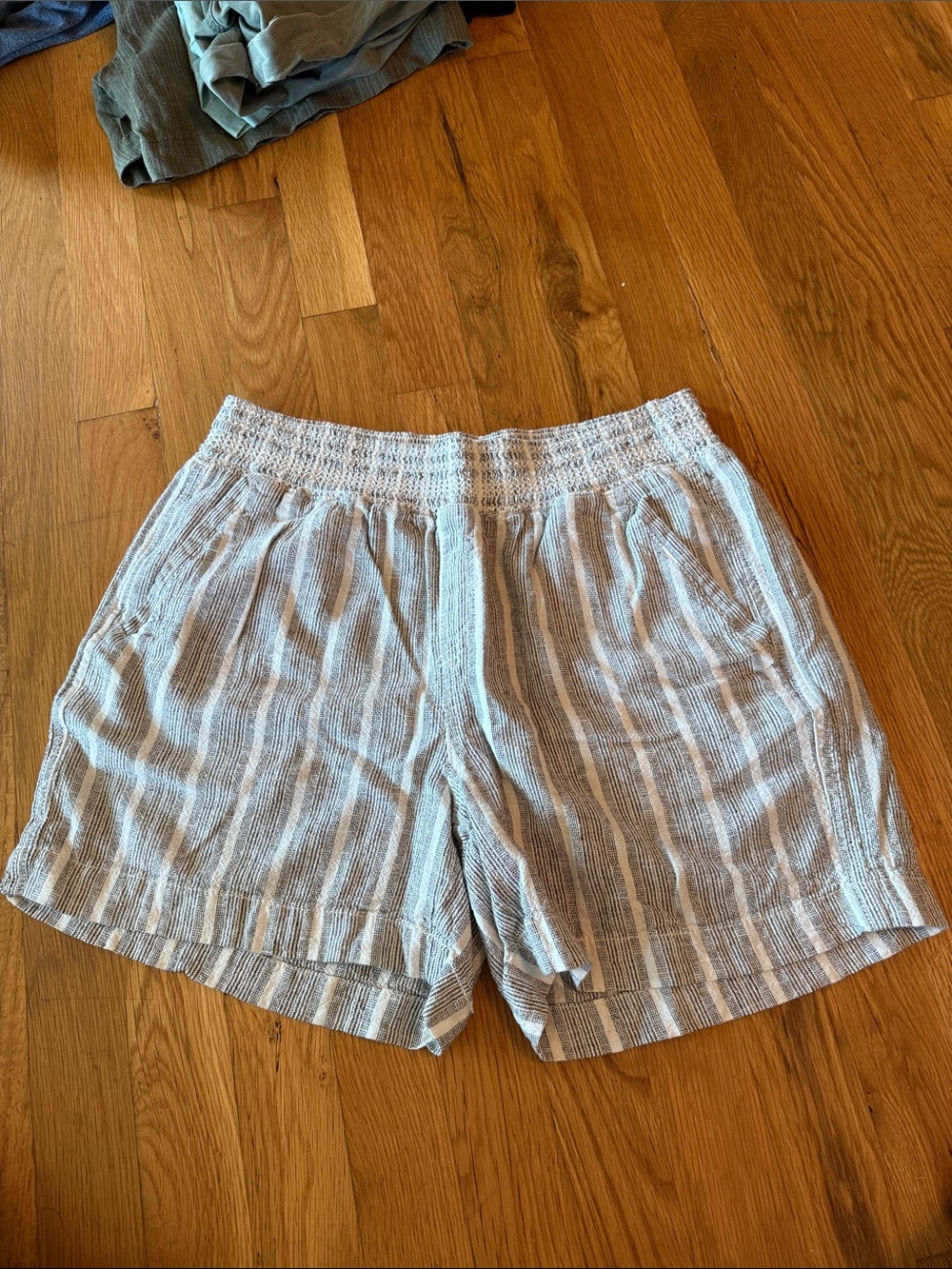 Briggs New York Light Blue and White Striped Women’s Shorts